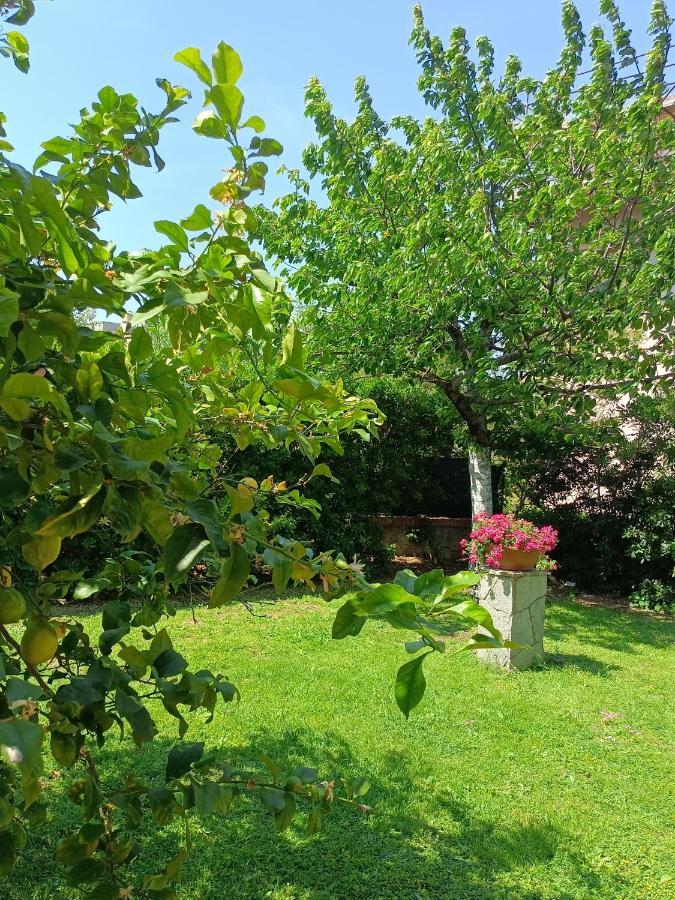 Il Giardino A Boccadasse 제노바 외부 사진