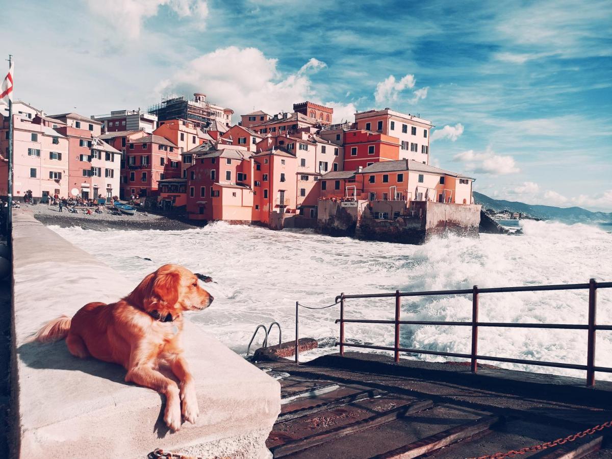 Il Giardino A Boccadasse 제노바 외부 사진